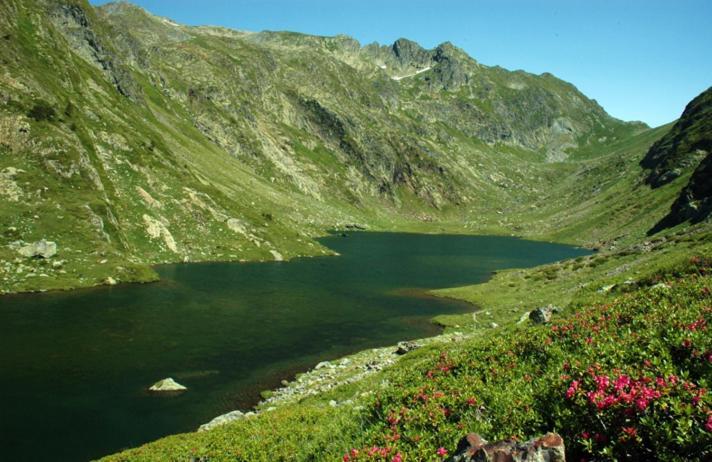 Apartaments Sort Pirineus Eksteriør bilde